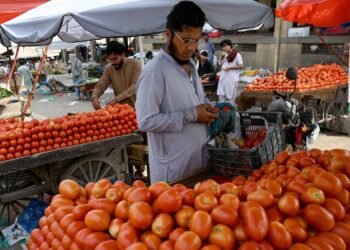 ಪಾಕಿಸ್ತಾನಕ್ಕೆ ತಕ್ಕ ಪಾಠ ಕಲಿಸಿದ ಆಫ್ಗನ್: ಕೆ.ಜಿ. ಟೊಮ್ಯಾಟೋಗೆ ಈಗ 700 ರೂಪಾಯಿ