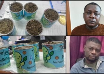ಬೆಂಗಳೂರು CCB ಪೊಲೀಸರ ಕಾರ್ಯಾಚರಣೆ – ಹೈಡ್ರೋ ಗಾಂಜಾ, MDMA ಮಾರಾಟ ಮಾಡ್ತಿದ್ದ ಆರೋಪಿಗಳ ಬಂಧನ!