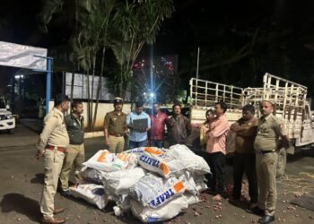 ಈರುಳ್ಳಿ ಮೂಟೆ ಹೆಸರಲ್ಲಿ ಅಕ್ರಮ ಶ್ರೀಗಂಧದ ತುಂಡುಗಳ ಸಾಗಾಟ