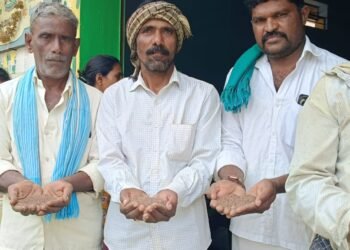 ದಾವಣಗೆರೆ | ಕಲ್ಲು,ಮಣ್ಣುಗಳಿಂದ ಕೂಡಿದ ಅನ್ನ ಭಾಗ್ಯ ಯೋಜನೆಯ ಧಾನ್ಯಗಳು