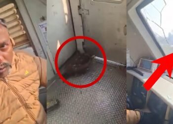 ಹೈಸ್ಪೀಡ್ನಲ್ಲಿ ಚಲಿಸುತ್ತಿದ್ದ ರೈಲಿನ ವಿಂಡ್ಸ್ಕ್ರೀನ್ಗೆ ಡಿಕ್ಕಿ ಹೊಡೆದ ಹದ್ದು | ಲೋಕೋ ಪೈಲಟ್ಗೆ ಗಾಯ!