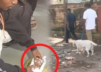 ದೆಹಲಿ ಸ್ಫೋಟ ಬೆನ್ನಲ್ಲೇ  ಕೊಪ್ಪಳದಲ್ಲಿ ಕಟ್ಟೆಚರ | ಪೋಲಿಸ್‌ ಕಾರ್ಯಾಚರಣೆ ವೇಳೆ ಗಾಂಜಾ ಪತ್ತೆ