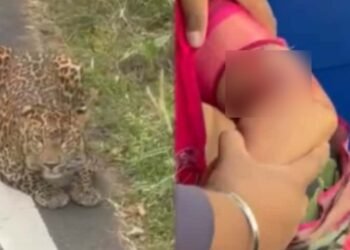 ಬನ್ನೇರುಘಟ್ಟ | ಸಫಾರಿ ವೇಳೆ ಮಹಿಳೆ ಮೇಲೆ ಚಿರತೆ ದಾಳಿ, ಗಂಭೀರ ಗಾಯ