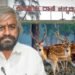 ಕಿತ್ತೂರು ರಾಣಿ‌ ಚೆನ್ನಮ್ಮ ಮೃಗಾಲಯದಲ್ಲಿ 28 ಕೃಷ್ಣ ಮೃಗಗಳ ಅಸಹಜ ಸಾವು | ತನಿಖೆಗೆ ಆದೇಶಿಸಿದ ಸಚಿವ ಈಶ್ವರ ಖಂಡ್ರೆ!