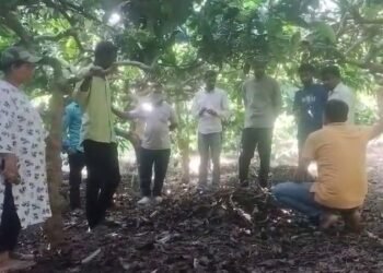 ಮಡಿಕೇರಿ | ಪತ್ನಿಗೆ ವಿಡಿಯೋ ಕಾಲ್ ಮಾಡಿ ಪತಿ ಆತ್ಮಹತ್ಯೆ