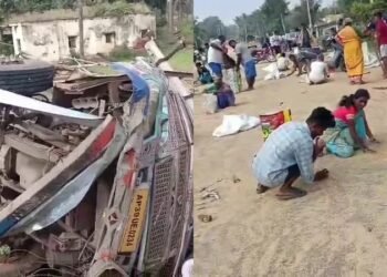 ತುಮಕೂರಿನಲ್ಲಿ ಗೋಧಿ ಲಾರಿ ಪಲ್ಟಿ | ರೋಡಿಗೆ ಬಿದ್ದ ಗೋಧಿ ಬಾಚಲು ಮುಗಿಬಿದ್ದ ಜನ!