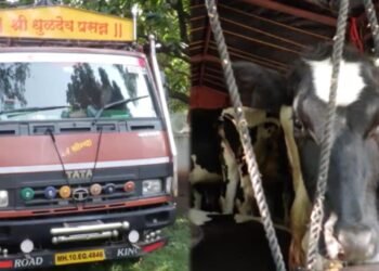 ವಿಜಯನಗರದಲ್ಲಿ ಅಕ್ರಮ ಗೋ ಸಾಗಟ | ಹಿಂದೂ ಕಾರ್ಯಕರ್ತರ ಅಟ್ಯಾಕ್‌..!