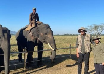 ಕಾಜಿರಂಗದ ಸೊಬಗಿಗೆ ಕುಂಬ್ಳೆ ಫಿದಾ ; “ಜೀವನದಲ್ಲಿ ಒಮ್ಮೆಯಾದರೂ ಇಲ್ಲಿಗೆ ಬನ್ನಿ” ಎಂದ ಕ್ರಿಕೆಟ್ ದಿಗ್ಗಜ