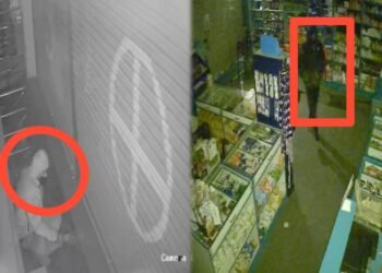 ಮೆಡಿಕಲ್ ಬೀಗ ಮುರಿದು ರಾಬರಿ | ಖತರ್ನಾಕ್‌ ಕಳ್ಳನ ಕೈಚಳಕ ಸಿಸಿಟಿವಿಯಲ್ಲಿ ಸೆರೆ