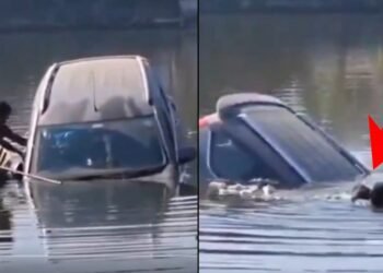 ಪ್ರಾಣವನ್ನೇ ಪಣಕ್ಕಿಟ್ಟು ಕಾರು ಚಾಲಕನನ್ನು  ರಕ್ಷಿಸಿದ ವ್ಯಕ್ತಿ.. ವಿಡಿಯೋ ವೈರಲ್‌