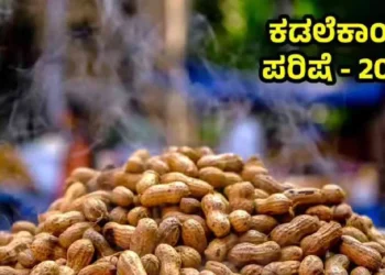 ಇಂದಿನಿಂದ ಮಲ್ಲೇಶ್ವರಂನಲ್ಲಿ ಐತಿಹಾಸಿಕ ಕಡಲೆಕಾಯಿ ಪರಿಷೆ ಆರಂಭ