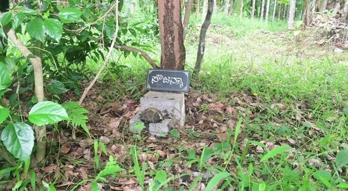 ಸೌಜನ್ಯ ಕೇಸ್‌ : ಮರು ತನಿಖೆಗೆ ಆಗ್ರಹಿಸಿ ಸುಪ್ರೀಂ ಕೋರ್ಟ್‌ ಗೆ ಕುಸುಮಾವತಿ ಅರ್ಜಿ !