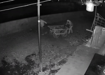 ಬೆಳಗಾವಿ | ಎಟಿಎಂ ಮಷಿನ್ನನ್ನು ತಳ್ಳೋ ಗಾಡಿಯಲ್ಲಿ ಕದ್ದೊಯ್ದ ಖದೀಮರು!