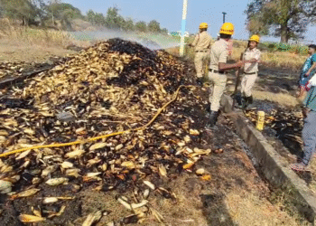 ಹಾವೇರಿ | ಕಾಟಾವು ಮಾಡಿ ರಾಶಿ ಹಾಕಿದ್ದ ಮೆಕ್ಕೆಜೋಳ ಸುಟ್ಟು ಭಸ್ಮ