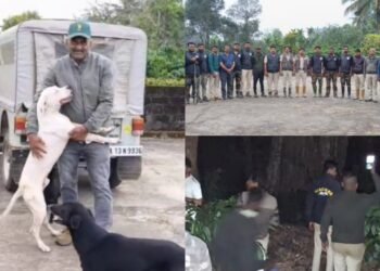 ಮಡಿಕೇರಿ | ಕಾಫಿ ತೋಟದಲ್ಲಿ ಕಳೆದು ಹೋಗಿದ್ದ 2 ವರ್ಷದ ಕಂದಮ್ಮನನ್ನು ಪತ್ತೆ ಹಚ್ಚಿದ ಸಾಕು ನಾಯಿ!