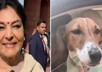 ಸಂಸತ್ ಆವರಣಕ್ಕೆ ನಾಯಿ ತಂದಿದ್ದನ್ನು ಪ್ರಶ್ನಿಸಿದವರಿಗೆ ‘ಬೌ ಬೌ’ ಎಂದು ಬೊಗಳಿದ ಕಾಂಗ್ರೆಸ್‌ ನಾಯಕಿ!