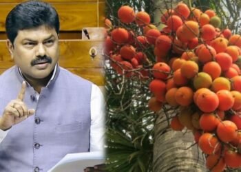 ಅಡಿಕೆ ಬೆಳೆಗಾರರ ಸಂಕಷ್ಟ ಪರಿಹರಿಸಿ | ಸಂಸತ್ತಿನಲ್ಲಿ ಧ್ವನಿ ಎತ್ತಿದ ಬಿ.ವೈ.ರಾಘವೇಂದ್ರ