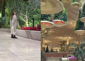 ಬೆಂಗಳೂರಿನ ವಿಮಾನ ನಿಲ್ದಾಣದ ಸೌಂದರ್ಯಕ್ಕೆ ಬೆರಗಾದ ಡಚ್ ಮಹಿಳೆ