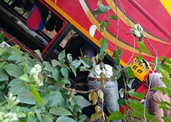 ಆಂಧ್ರದಲ್ಲಿ ಭೀಕರ ದುರಂತ : ದಟ್ಟ ಮಂಜಿನಿಂದಾಗಿ ಕಣಿವೆಗೆ ಉರುಳಿದ ಬಸ್, 9 ಯಾತ್ರಾರ್ಥಿಗಳ ಸಾವು