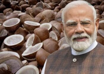 ಕೇಂದ್ರ ಸರ್ಕಾರದಿಂದ ಕೊಬ್ಬರಿ ಬೆಳೆಗಾರರಿಗೆ ಸಿಹಿ ಸುದ್ದಿ | ಬೆಂಬಲ ಬೆಲೆ ಹೆಚ್ಚಳ.. ಕ್ವಿಂಟಾಲ್‌ಗೆ ಎಷ್ಟು ಗೊತ್ತಾ?