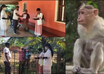 ಶಿವಮೊಗ್ಗದಲ್ಲಿ ಮತ್ತೆ ವಕ್ಕರಿಸಿದ ಮಂಗನ ಕಾಯಿಲೆ | ಪಾಸಿಟಿವ್‌ ಕೇಸ್​​​ 8ಕ್ಕೆ ಏರಿಕೆ.. ಆರೋಗ್ಯ ಇಲಾಖೆ ಅಲರ್ಟ್!