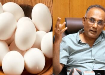 ಮೊಟ್ಟೆ ಸೇವನೆಯಿಂದ ಕ್ಯಾನ್ಸರ್‌ ಬರಲ್ಲ | ಸಚಿವ ದಿನೇಶ್ ಗುಂಡೂರಾವ್ ಸ್ಪಷ್ಟನೆ
