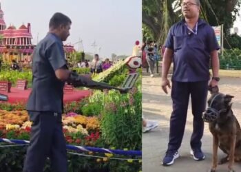 ಸಿಲಿಂಡರ್ ಬ್ಲಾಸ್ಟ್ ಬೆನ್ನಲ್ಲೇ ಮೈಸೂರಿನ ಪ್ರವಾಸಿ ತಾಣಗಳಲ್ಲಿ ಹೈ ಅಲರ್ಟ್ | ಅನುಮಾನಸ್ಪದ ವ್ಯಕ್ತಿಗಳ ವಿಚಾರಣೆ!