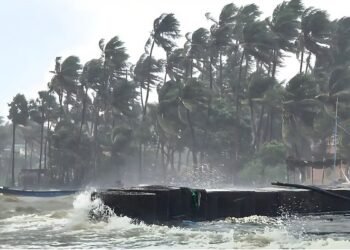 ದಿತ್ವಾ ಚಂಡಮಾರುತ ಎಫೆಕ್ಟ್‌ | ರಾಜ್ಯದಲ್ಲಿ ಇನ್ನೂ 4 ದಿನ ಮಳೆ ; ಹವಾಮಾನ ಇಲಾಖೆ ಮುನ್ಸೂಚನೆ!