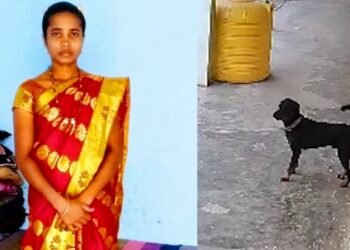 ದಾವಣಗೆರೆ | ರಾಟ್ ವೀಲರ್ ನಾಯಿ ದಾಳಿಗೆ ಮಹಿಳೆ ಬಲಿ..!