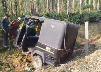 ಹಾಸನ | ಚಲಿಸುತ್ತಿದ್ದ ಆಟೋ ಮೇಲೆ ಕಾಡುಕೋಣ ದಾಳಿ