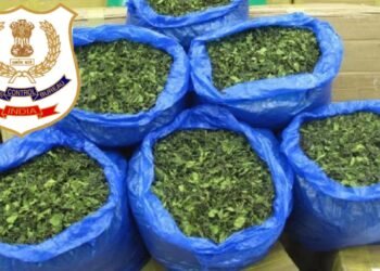 ಬೆಂಗಳೂರಲ್ಲಿ ಅಂತಾರಾಷ್ಟ್ರೀಯ ಮಾದಕವಸ್ತು ಜಾಲ ಭೇದಿಸಿದ NCB | 8 ಕೋಟಿ ರೂ. ಮೌಲ್ಯದ 160 ಕೆಜಿ ಖಾಟ್ ಎಲೆಗಳು​​ ವಶಕ್ಕೆ​!