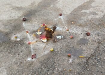 ರಾಮನಗರ | ನಡುರಸ್ತೆಯಲ್ಲೇ ವಾಮಾಚಾರ.. ಹೊಸ ವರ್ಷದ​ ಸಂಭ್ರಮದಲ್ಲಿದ್ದವರಿಗೆ ಶಾಕ್!