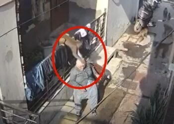 ಕುರ್ಚಿ ಮೇಲೆ ಕುಳಿತಿದ್ಧ ವೃದ್ಧೆ ಮೇಲೆ ಕೋತಿಗಳ  ಅಟ್ಯಾಕ್‌ | ವಿಡಿಯೋ ನೋಡಿ!