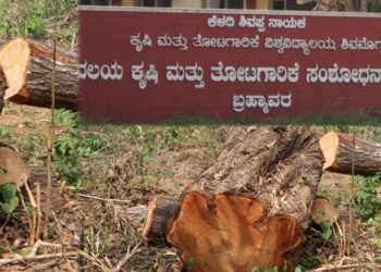ಉಡುಪಿಯಲ್ಲಿ ಅಧಿಕಾರಿಗಳೇ ಅಕ್ರಮ ಎಸಗಿದ್ರಾ? ಕೃಷಿ ವಿಜ್ಞಾನ ಕೇಂದ್ರದಲ್ಲಿದ್ದ ಬೆಲೆಬಾಳುವ ಮರಗಳಿಗೆ ಕೊಡಲಿ ಏಟು!