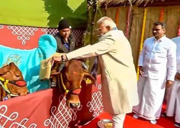 ಗೋವುಗಳಿಗೆ ಆಹಾರ ಉಣಿಸುತ್ತಿರುವ ವಿಡಿಯೋ ಹಾಕಿ ಸಂಕ್ರಾಂತಿ ಶುಭಾಶಯ ಹೇಳಿದ ಪ್ರಧಾನಿ ಮೋದಿ
