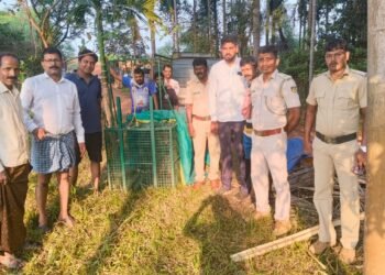 ಉಡುಪಿ | ಜನ-ಜಾನುವಾರುಗಳಿಗೆ ಕಂಟಕವಾಗಿದ್ದ ಚಿರತೆ ಸೆರೆ : ನಿಟ್ಟುಸಿರು ಬಿಟ್ಟ ಗ್ರಾಮಸ್ಥರು