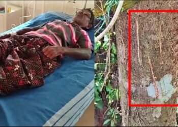 ಬೆಳ್ತಂಗಡಿಯಲ್ಲಿ ಹಾಡಹಗಲೇ ಚಿರತೆ ದಾಳಿ | ಅಡಿಕೆ ಮರವೇರಿ ಪ್ರಾಣ ಉಳಿಸಿಕೊಂಡ ರೈತ!