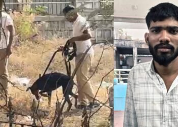 ಕಲಬುರಗಿ | ಚಾಕುವಿನಿಂದ ಇರಿದು ಸ್ನೇಹಿತನನ್ನೇ ಕೊಂದ ದುರುಳರು