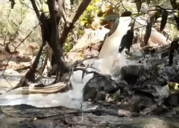 ತ್ಯಾಜ್ಯ ನೀರಿನಿಂದ ಸೌಪರ್ಣಿಕೆ ಮಲೀನ | ಜಿಲ್ಲಾಧಿಕಾರಿ, KUWSDB ನಿಂದ ವರದಿ ಕೇಳಿದ NGT