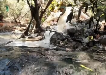 ತ್ಯಾಜ್ಯ ನೀರಿನಿಂದ ಸೌಪರ್ಣಿಕೆ ಮಲೀನ | ಜಿಲ್ಲಾಧಿಕಾರಿ, KUWSDB ನಿಂದ ವರದಿ ಕೇಳಿದ NGT