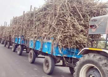 ಬಾಗಲಕೋಟೆಯಲ್ಲಿ ಕಬ್ಬು ಸಾಗಿಸುತ್ತಿದ್ದ ಟ್ರ್ಯಾಕ್ಟರ್ ಪಲ್ಟಿ | ಇಬ್ಬರು ಮಕ್ಕಳು ಸಾವು!