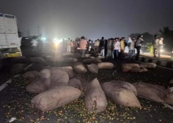 ಹಾಸನ ; ಹೊಸ ವರ್ಷದ ದಿನವೇ ಜವರಾಯನ ಅಟ್ಟಹಾಸ | ವಾಹನ ಪಲ್ಟಿಯಾಗಿ ಮೂವರು ಸ್ಥಳದಲ್ಲೇ ಸಾವು!