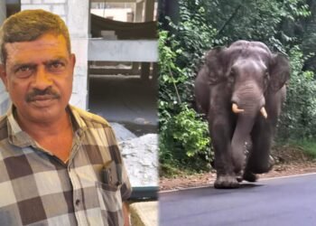 ಕಾಡಾನೆ ದಾಳಿಯಿಂದ ಕೂದಲೆಳೆ ಅಂತರದಲ್ಲಿ ತಂದೆ-ಮಗ ಪಾರು