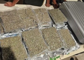 ಬೆಂಗಳೂರು ಏರ್​​ಪೋರ್ಟ್​​​ನಲ್ಲಿ 8 ಕೋಟಿ ರೂ. ಮೌಲ್ಯದ ಗಾಂಜಾ ವಶಕ್ಕೆ | ಇಬ್ಬರ ಬಂಧನ