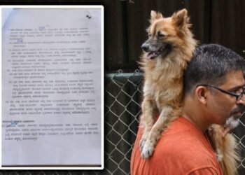 ಬೆಂಗಳೂರಿಗರೇ ಗಮನಿಸಿ..! ಇನ್ಮುಂದೆ ನಾಯಿ ಸಾಕೋದಕ್ಕೆ ಈ ನಿಯಮ ಅನುಸರಿಸಲೇಬೇಕು