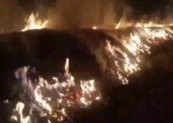 22 ಲೋಡ್ ಮೆಕ್ಕೆಜೋಳಕ್ಕೆ ರಾತ್ರೋರಾತ್ರಿ ಬೆಂಕಿ ಹಾಕಿದ ಕಿಡಿಗೇಡಿಗಳು!