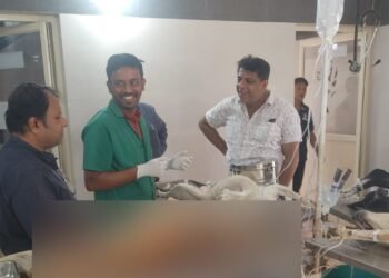 ಉತ್ತರ ನಗರ ಪಾಲಿಕೆಯಿಂದ ಬೀದಿ ನಾಯಿಗಳಿಗೆ ಸಂತಾನ ನಿಯಂತ್ರಣ ಶಸ್ತ್ರಚಿಕಿತ್ಸೆ!