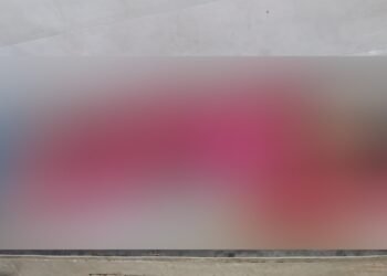 ಅನೈತಿಕ ಸಂಬಂಧದ ಶಂಕೆ | ಚಾಕುವಿನಿಂದ ಇರಿದು ಪತ್ನಿಯ ಬರ್ಬರ ಹತ್ಯೆ