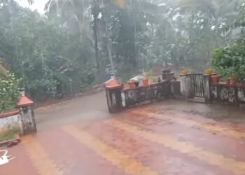 ಸುಡು ಬಿಸಿಲಿನ ನಡುವೆ ತಂಪೆರೆದ ವರುಣ.. ಉಡುಪಿ, ದಕ್ಷಿಣ ಕನ್ನಡದಲ್ಲಿ ಮಳೆ!