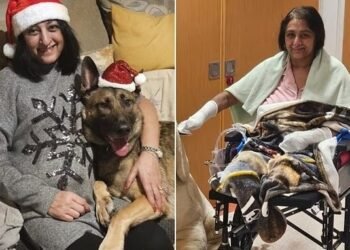 ಸಾಕು ನಾಯಿಯಿಂದ ಮಾರಣಾಂತಿಕ ಸೋಂಕು | ಎರಡೂ ಕೈ-ಕಾಲುಗಳನ್ನು ಕಳೆದುಕೊಂಡ ಮಹಿಳೆ!